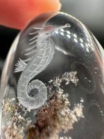 Beautiful Seahorse Garden Quartz Inner Scene Carving #6