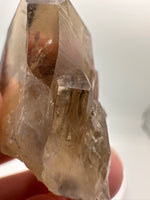 Natural Citrine Cathedral Crystal, Congo, Lightbrary #6