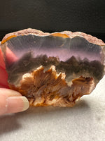 Fluorite Mixed Cube Pyrite & Acicular Slab #1