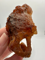 Withlacoochee River Agatized Coral #2
