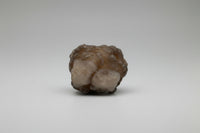 Panda Agate aka Truffle Chalcedony #1