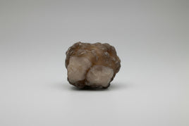 Panda Agate aka Truffle Chalcedony #1