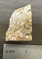 8th Vein Ocean Jasper Polished Free Form #4