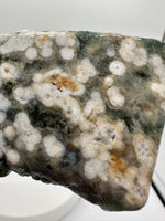 8th Vein Ocean Jasper Slab #34