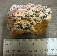 8th Vein Ocean Jasper Slab #36