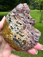 8th Vein Ocean Jasper Slab #40