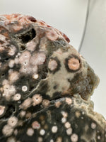 8th Vein Ocean Jasper Slab #20