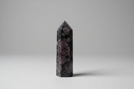 Garnet & Astrophyllite Tower #5