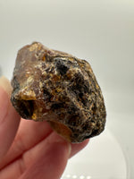 Madagascar Raw Amber Specimen #14