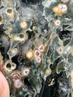 8th Vein Ocean Jasper Slab #19