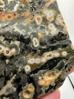 8th Vein Ocean Jasper Slab #33