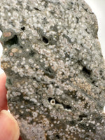 8th Vein Ocean Jasper Slab #16