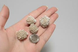 Desert Rose Selenite