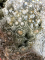 8th Vein Ocean Jasper Slab #16