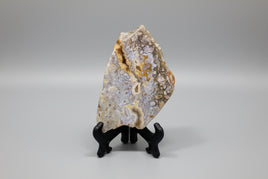 8th Vein Ocean Jasper Slab #71