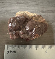 Andradite Garnet Specimen, Zacatecas, Mexico