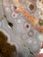 8th Vein Ocean Jasper Slab #48