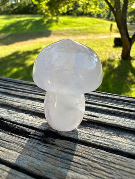 Colorless Fluorite Mushroom Carving #16
