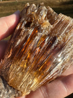 Natural Amber Calcite Raw Specimen UV Reactive #1