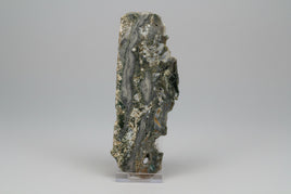 8th Vein Ocean Jasper Slab #31