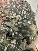 8th Vein Ocean Jasper Slab #20