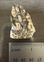 8th Vein Ocean Jasper Polished Free Form #6