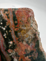 8th Vein Ocean Jasper Slab #60