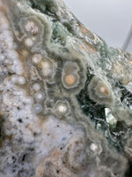 8th Vein Ocean Jasper Slab #16