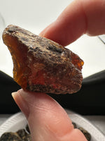 Madagascar Raw Amber Specimens BIN #2