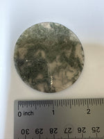Moss Agate Polished Round Slice #26