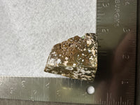 Ocean Jasper Free-form #17