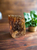 Natural Amber Calcite Raw Specimen UV Reactive #6