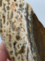 8th Vein Ocean Jasper Slab #15