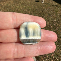 Owyhee Blue Opal Cabochon #33