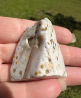 8th Vein Ocean Jasper Polished Free Form #26