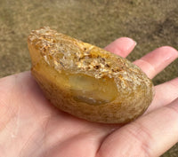 Natural Rough Agate Specimen #2