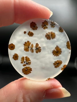 Scenic Dendritic Agate Cabochon #11