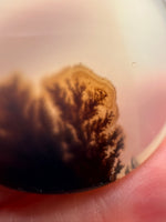 Designer Dendritic Agate Cabochon #7