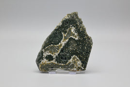 8th Vein Ocean Jasper Slab #9