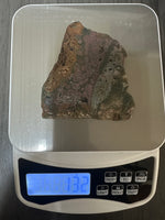 8th Vein Ocean Jasper Slab #17 – Pink Mauve & Green Orbicular Collector Stone