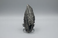 Natural Orthoceras Fossil Specimen #5