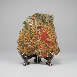 8th Vein Ocean Jasper Slab #105