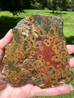 8th Vein Ocean Jasper Slab #105