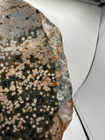 8th Vein Ocean Jasper Slab #22