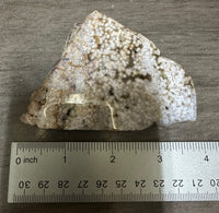 8th Vein Ocean Jasper Slab #41
