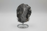 Natural Orthoceras Fossil Specimen #12