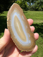 Agate Slice #18