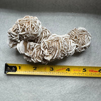 Selenite "Desert Rose," Samalayuka Desert, Chihuahua, Mexico #3