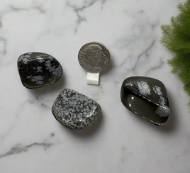 Snowflake Obsidian Tumbled Parcel