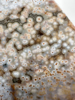 8th Vein Ocean Jasper Slab #41